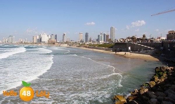 mina2 yaffaj343 (24).jpg